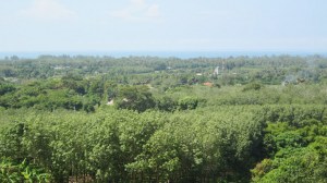 位于迈考的6Rai的海景地块