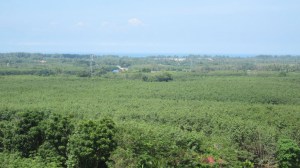 位于迈考的6Rai的海景地块