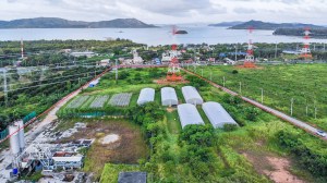 迈考海滩附近的25个大型Rai地块