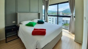 查龙山景公寓 - 1 卧/1 浴
