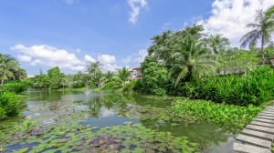 苏林海滩附近舒适泻湖景观公寓 - 1 卧/1 浴