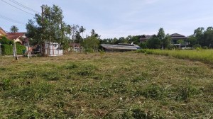 Thala Beach Paklok 附近的 Over 3 Rai Flat Land