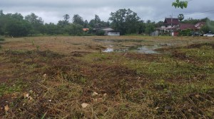 Thala Beach Paklok 附近的 Over 3 Rai Flat Land
