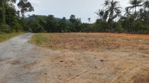 迈考海滩附近的 Over 8 Rai Flat Land