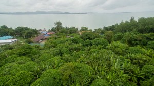 椰子岛上罕见的 5.5 Rai 海景土地