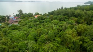 椰子岛上罕见的 5.5 Rai 海景土地