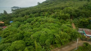 椰子岛上罕见的 5.5 Rai 海景土地
