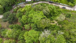卡马拉 Hillside 1 Rai 海景地块