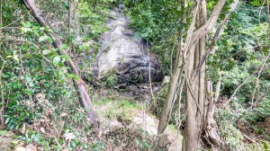 卡塔山坡上超过 1 块 Rai 海景土地待售