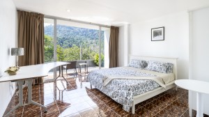 靠近BISP的山坡公寓楼，带宽敞地块 - 15 卧/14 浴