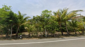 靠近 Natai 海滩的广阔海滨 78 莱土地
