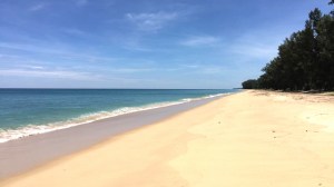 靠近 Natai 海滩的广阔海滨 78 莱土地