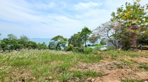 罕见的 1 莱以上海景地块，位于雅穆角