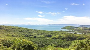 奥波广阔的近 9 莱海景地块