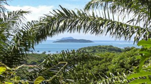 奥波广阔的近 9 莱海景地块