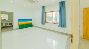 奈涵海滩附近大片土地上的超大别墅 - 10 卧/10 浴