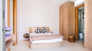 Leela Villas Pasak - 2 卧/2 浴