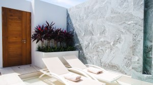 Leela Villas Pasak - 2 卧/2 浴