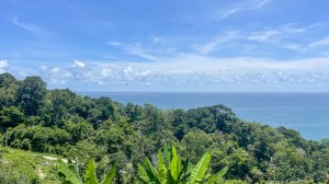 卡马拉罕见山坡海景地块