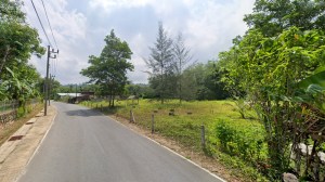 奈通海滩附近近 2 莱平地