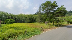 奈通海滩附近近 2 莱平地