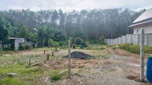 塔朗半莱以上可建地块