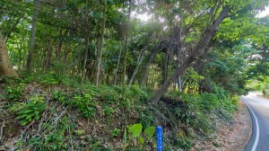 奈涵海滩附近稀缺的超过6莱土地
