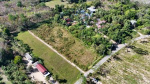 纳泰 (Natai) 超过 4 莱 (超过 4 莱) 的可建平地