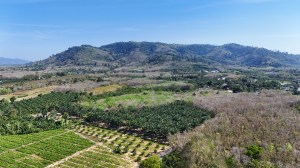 纳泰 (Natai) 超过 4 莱 (超过 4 莱) 的可建平地
