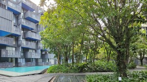 芭东现代永久产权公寓 - 1 卧/1 浴