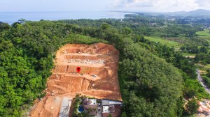 奈扬近12莱（约12莱）的大型山坡地块