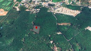 出售位于 Cherng Talay 的 5 莱平地
