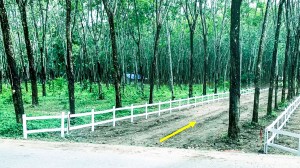 出售位于 Cherng Talay 的 5 莱平地