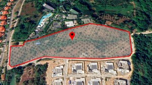 普吉岛拉古娜附近约16莱（约26,396平方米）的广阔山坡地块