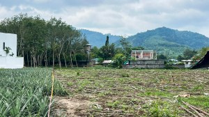 马尼克（Manik）3莱（约1.2公顷）平地，可立即开工建设
