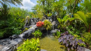 奈阳热带泳池别墅，带宽敞花园 - 3 卧/3 浴